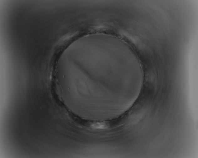 X0000092101303200710031205