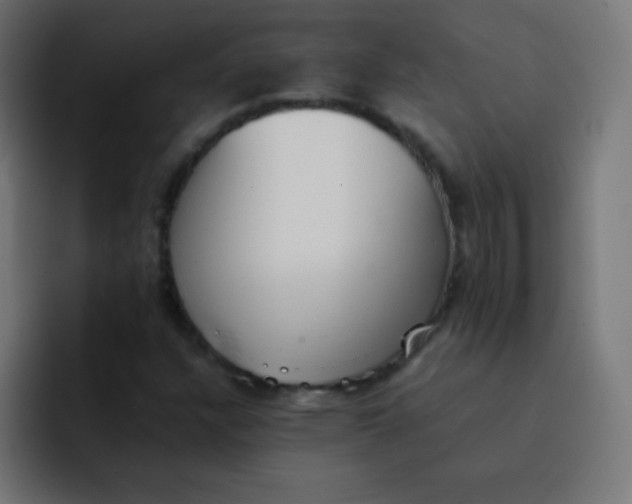 X0000092101304200710031205