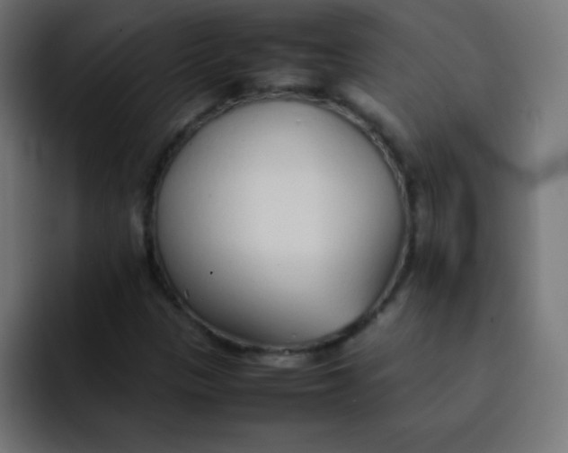 X0000092101305200710031205