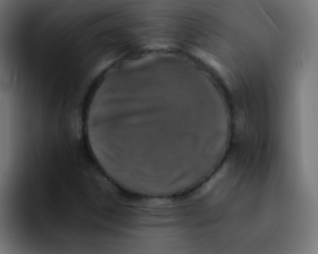 X0000092101306200710031205