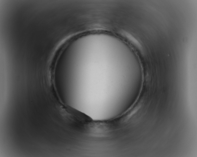 X0000092101310200710031205