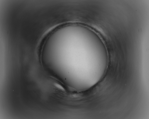 X0000092101311200710031205