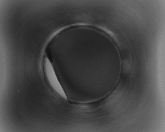 X0000092101319200710031205