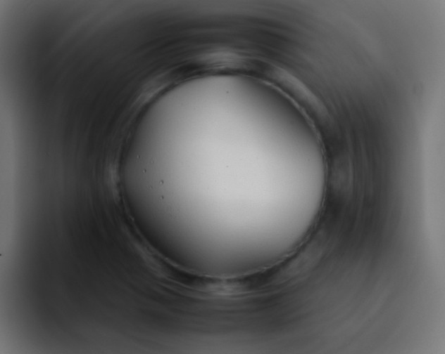 X0000092101321200710031205