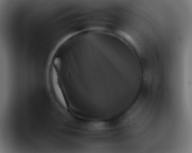 X0000092101323200710031205