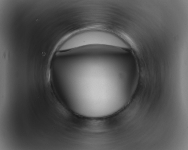 X0000092101324200710031205