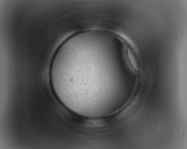 X0000092101325200710031205