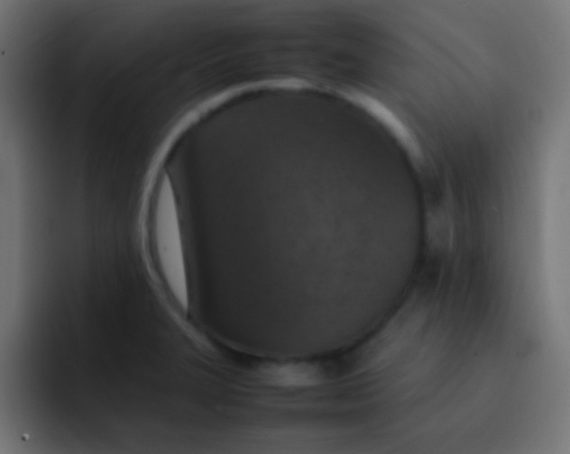 X0000092101327200710031205