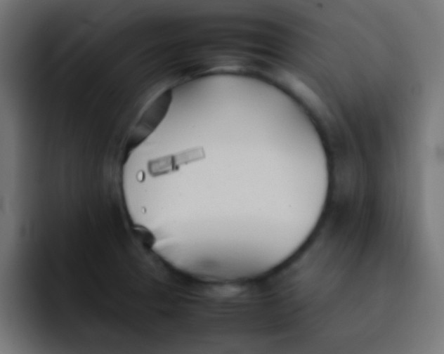 X0000092101329200710031205