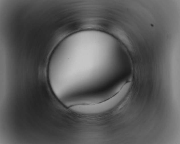 X0000092101330200710031205