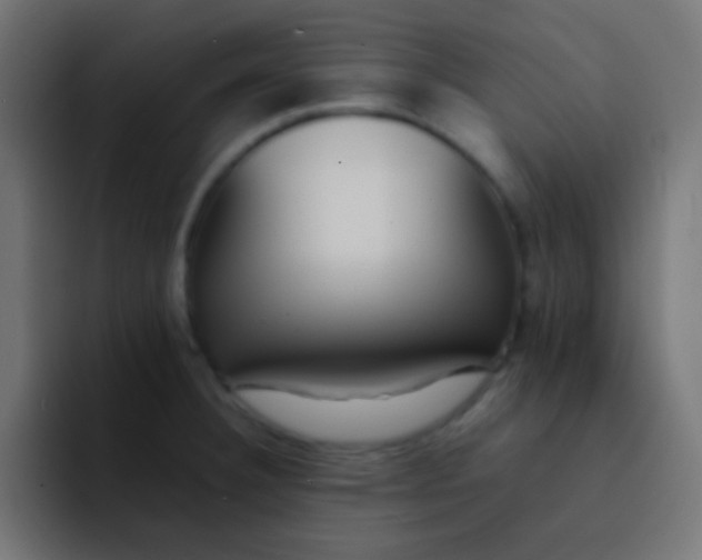 X0000092101332200710031205