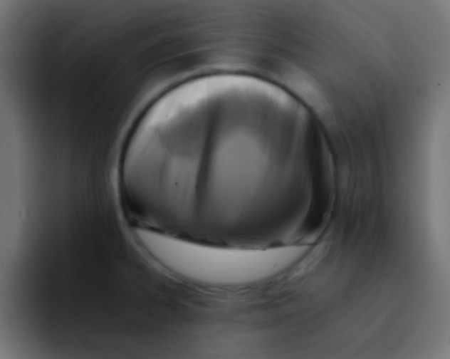 X0000092101334200710031205