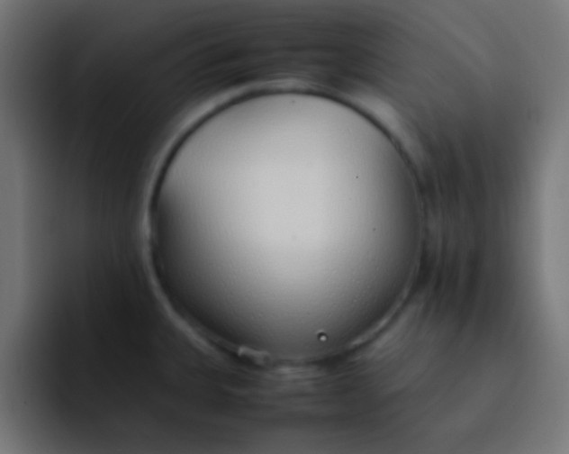 X0000092101335200710031205