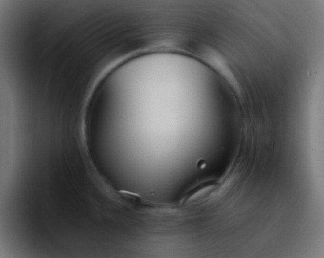 X0000092101336200710031205