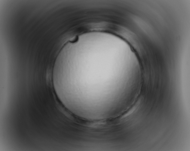 X0000092101337200710031205