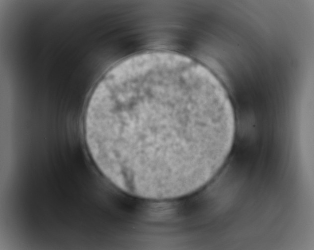 X0000092101338200710031205