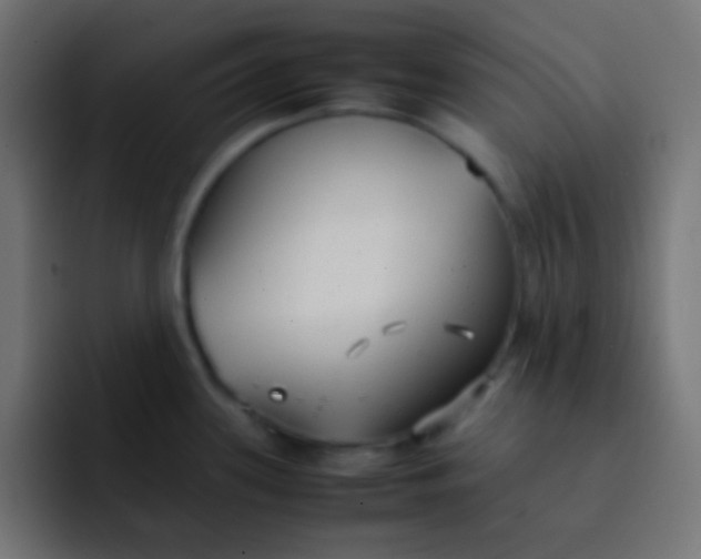 X0000092101339200710031205