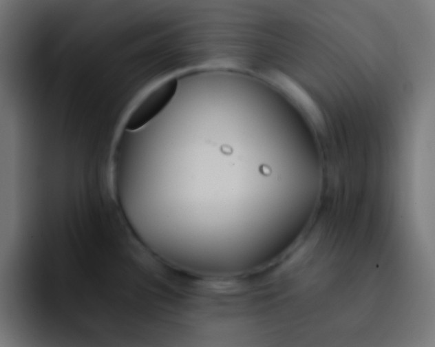 X0000092101340200710031205