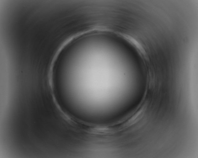 X0000092101342200710031205