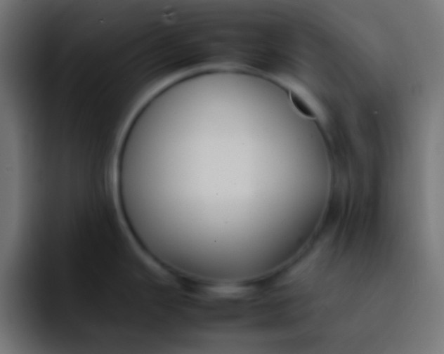 X0000092101343200710031205