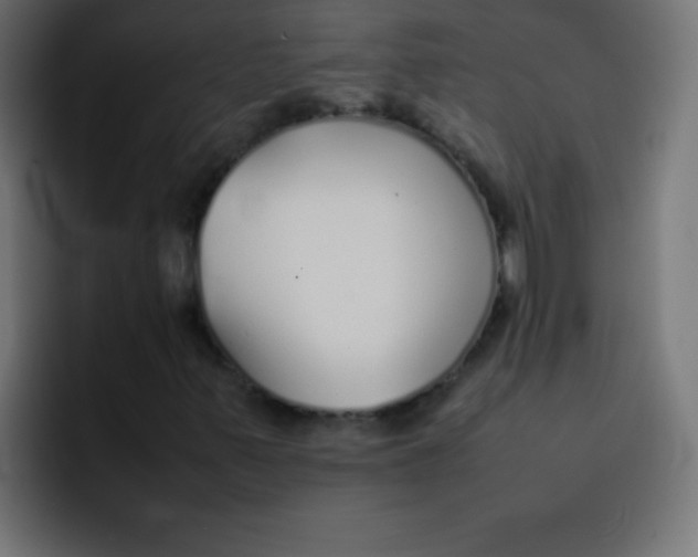 X0000092101347200710031205