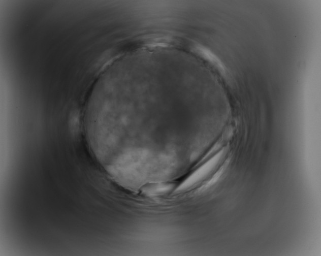 X0000092101353200710031205