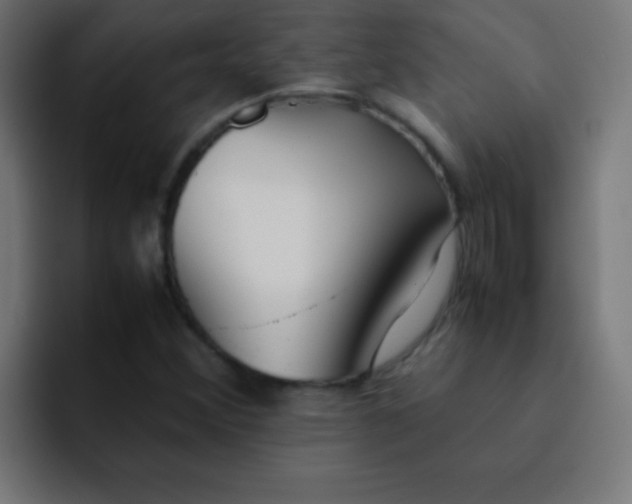 X0000092101356200710031205