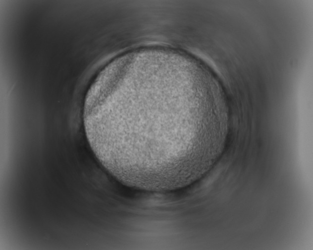 X0000092101359200710031205