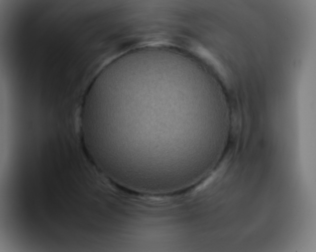 X0000092101361200710031205