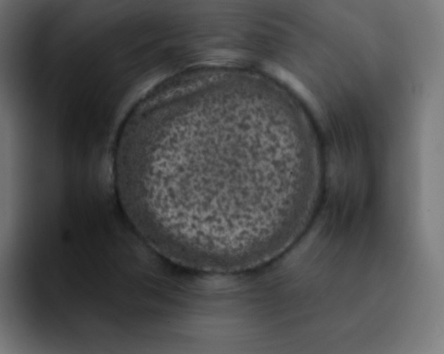 X0000092101362200710031205