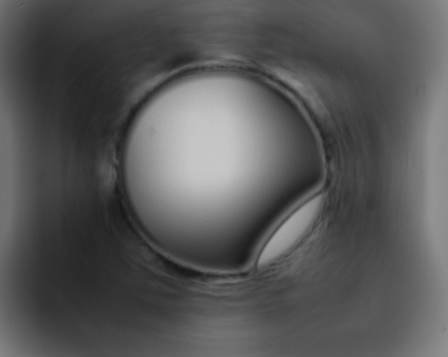 X0000092101363200710031205