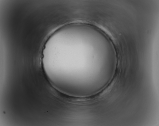 X0000092101367200710031205