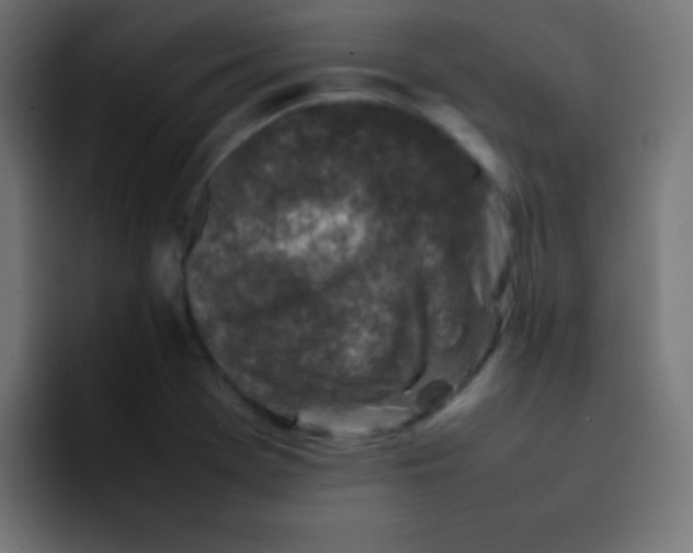 X0000092101369200710031205