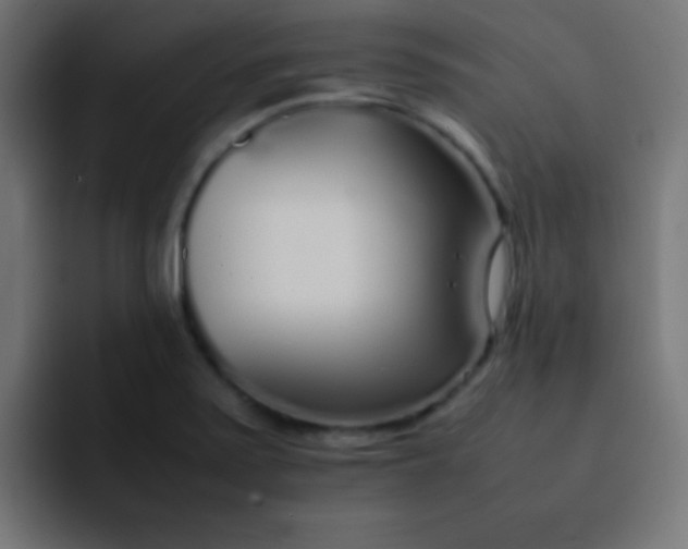 X0000092101371200710031205