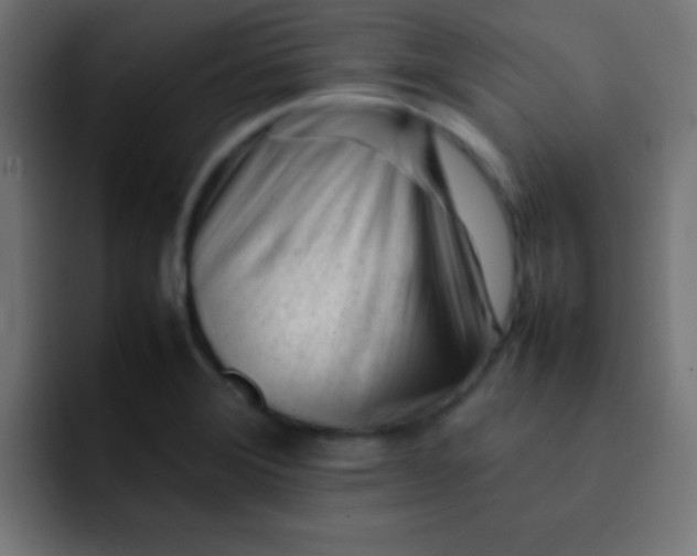 X0000092101372200710031205