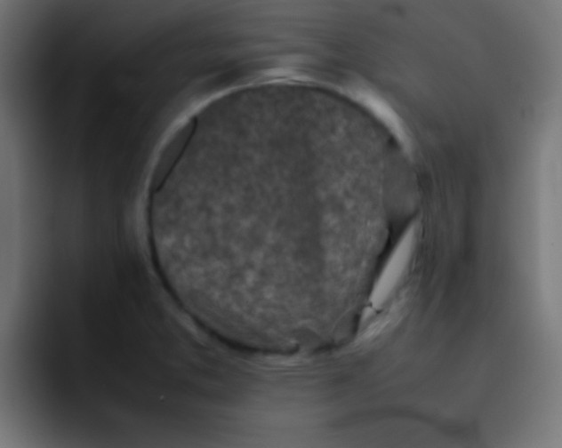 X0000092101373200710031204