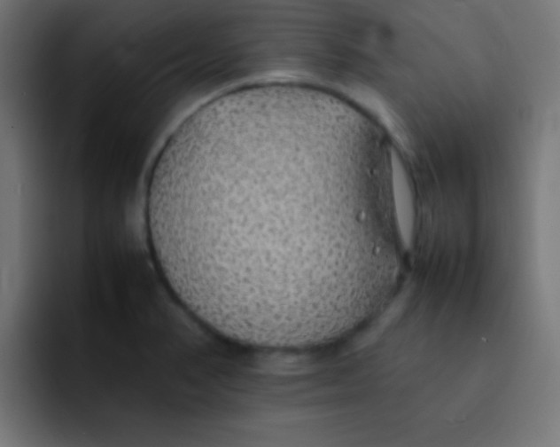 X0000092101374200710031204