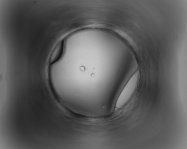 X0000092101375200710031204