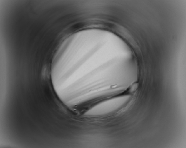 X0000092101377200710031204