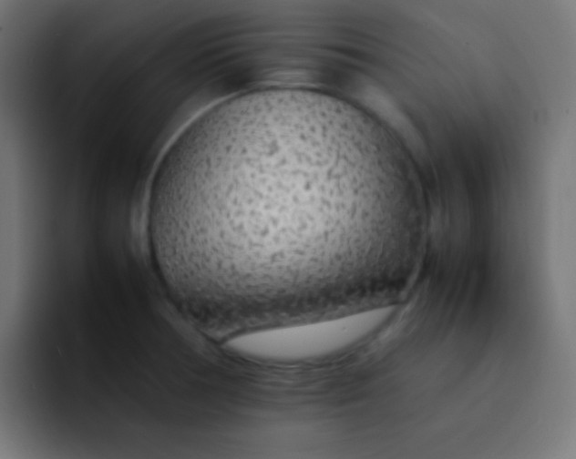 X0000092101378200710031204