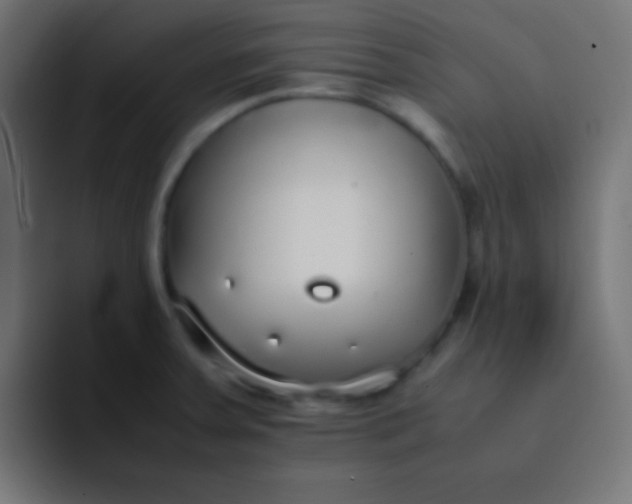 X0000092101379200710031204