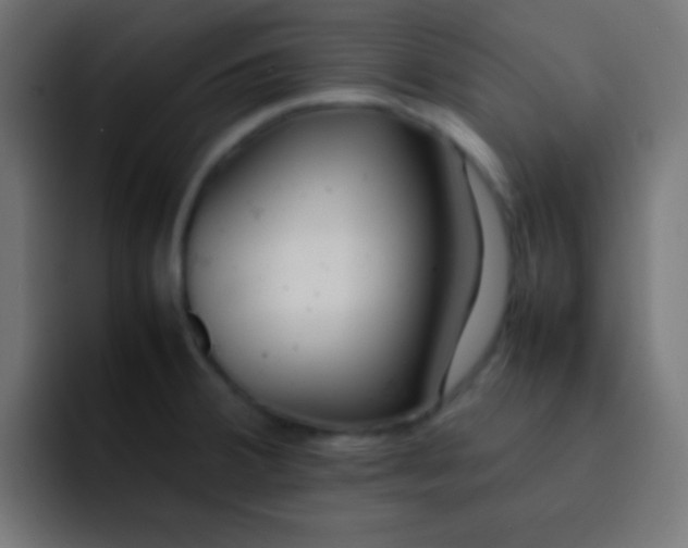 X0000092101380200710031204