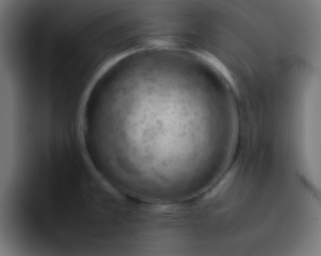 X0000092101381200710031204