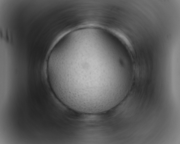 X0000092101382200710031204