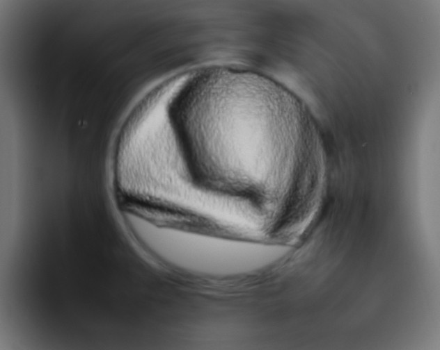 X0000092101383200710031204