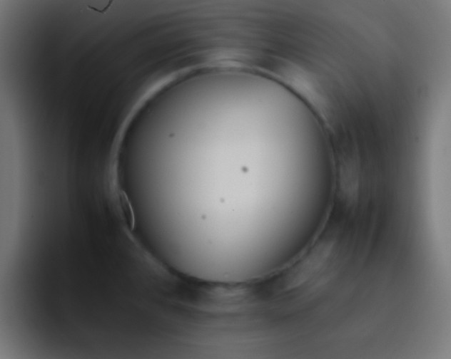 X0000092101384200710031204