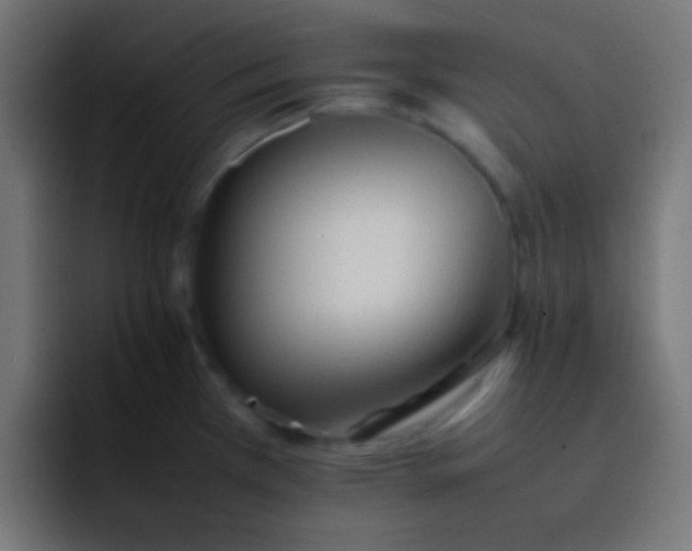 X0000092101385200710031204