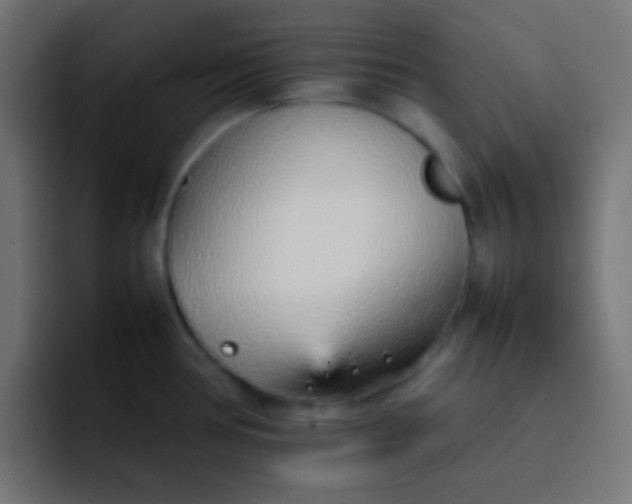 X0000092101386200710031204