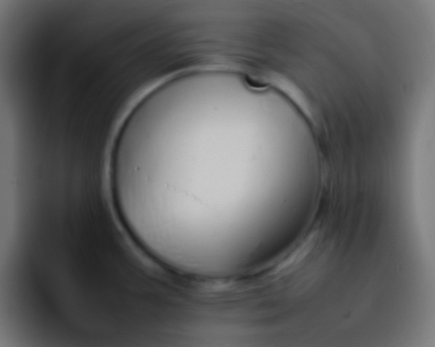 X0000092101387200710031204