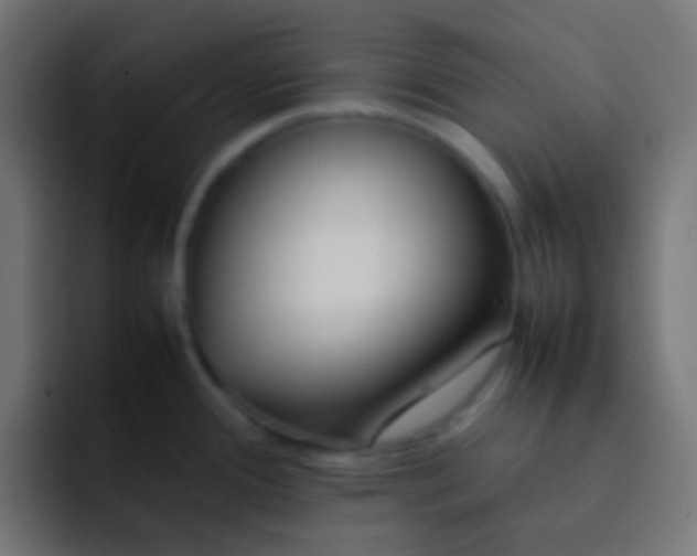 X0000092101388200710031204